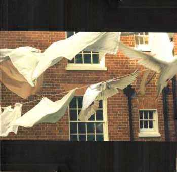 6LP/Coffret Kate Bush: Remastered In Vinyl III