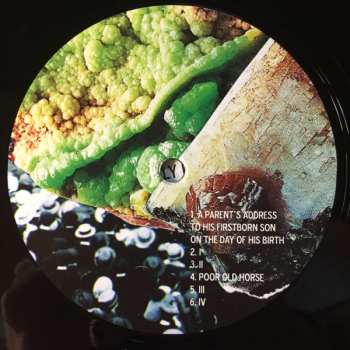 2LP Richard Dawson: The Glass Trunk