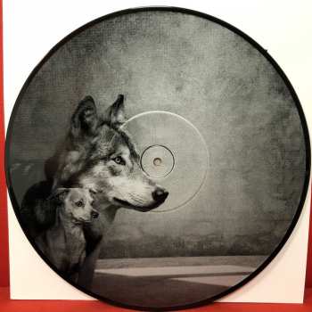 2LP Richard Müller: Hodina Medzi Psom A Vlkom