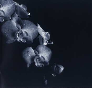 SACD Richard Tee: Inside You