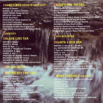 CD Richie Spice: Spice In Your Life