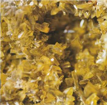 CD River Into Lake: Rise & Shine