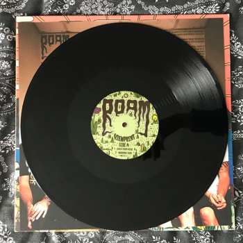 LP Roam: Viewpoint
