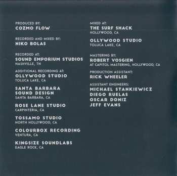 CD Robben Ford: Into The Sun