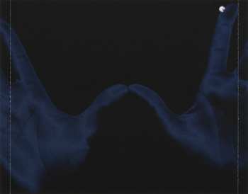 CD Robert Bradley's Blackwater Surprise: Robert Bradley's Blackwater Surprise