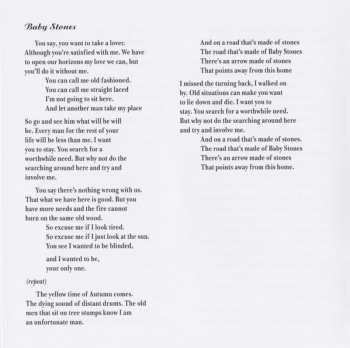 CD Robert Forster: Danger In The Past