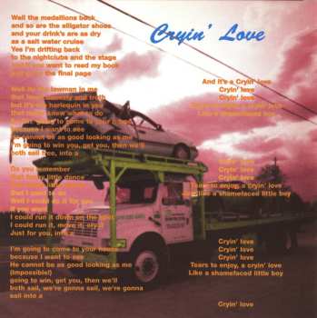 CD Robert Forster: Warm Nights