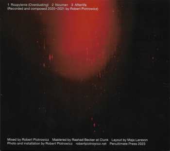 CD Robert Piotrowicz: Afterlife