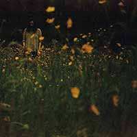 Album Robin Lewis Adams: The Garden