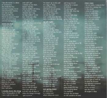 CD Rod Picott: Stray Dogs