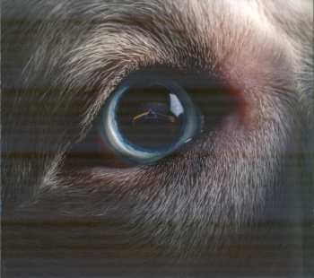 CD Roger Waters: The Dark Side Of The Moon Redux