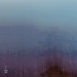 Album Ross McHenry: Waves