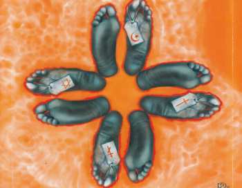 CD Rotengeist: The Test That Divides Us All