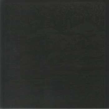 2LP Roy Montgomery: Camera Melancholia LTD