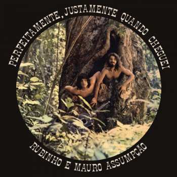 CD Rubinho E Mauro Assumpção: Perfeitamente, Justamente Quando Cheguei