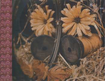 CD Rufus Wainwright: Want Two