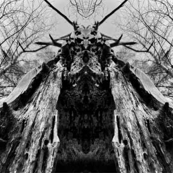 CD Rulaman: To Serve The Dune (digipak)