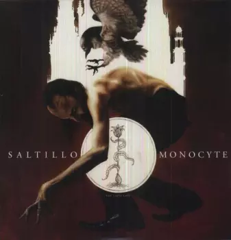 Monocyte: The Lapis Coil