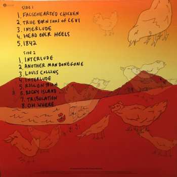 LP Sam Amidon: But This Chicken Proved Falsehearted LTD | CLR