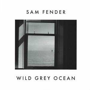 SP Sam Fender: Wild Grey Ocean / Little Bull Of Blithe LTD | CLR