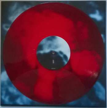 LP Sandra Monfort: Niño Reptil Ángel CLR