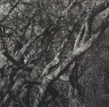 CD Sandy Dillon: Electric Chair