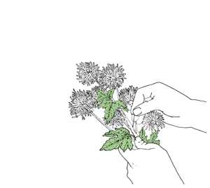 Album Sanso Xtro: Sentimentalist