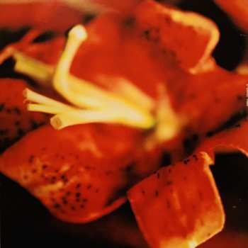 CD Sarah Brightman: Eden