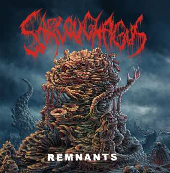 CD Sarcoughagus: Remnants