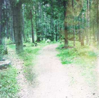 CD Satellite Stories: Pine Trails