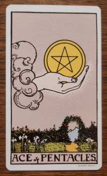 LP SAVAK: SQUAWK! LTD