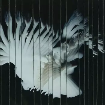 Scaler: Endlessly