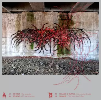 Schacke: Looks Are Deceiving