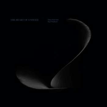 Album Schechter,dana / Wallfisch,paul: Heart Of A Whale