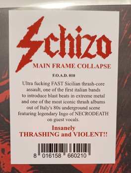 LP Schizo: Main Frame Collapse