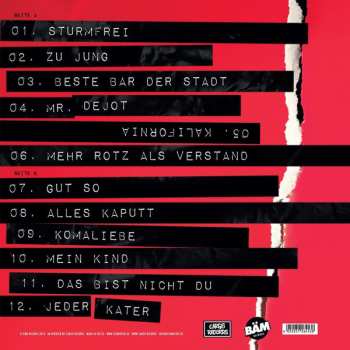 CD Schmutzki: Mehr Rotz als Verstand