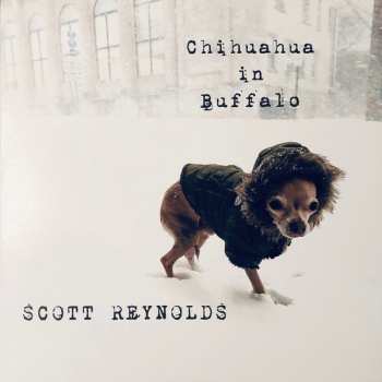 LP Scott Reynolds: Chihuahua In Buffalo