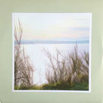 LP Seapony: A Vision