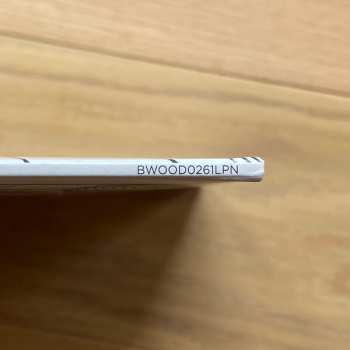 LP Secret Night Gang: Secret Night Gang