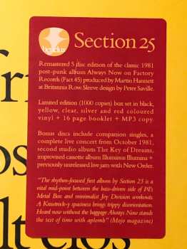 5LP/Coffret Section 25: Always Now DLX | LTD | CLR
