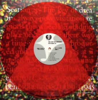 5LP/Coffret Section 25: Always Now DLX | LTD | CLR