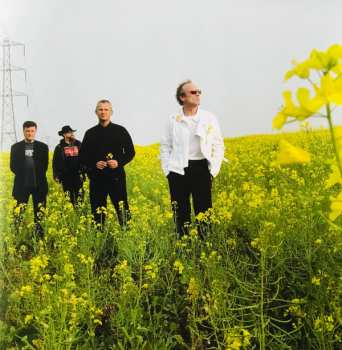 CD Section 25: Part-Primitiv