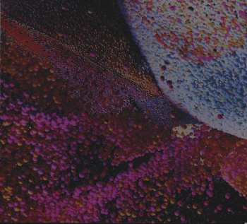 CD Seekers Are Lovers: Nepenthes