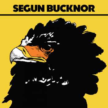 LP Segun Bucknor: Segun Bucknor