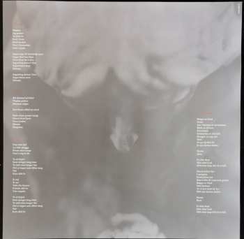 LP Seigmen: Ameneon