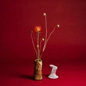 Album Seiho: Collapse
