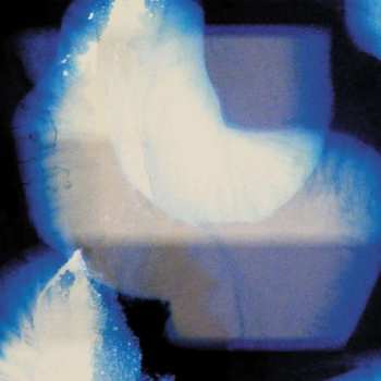 CD Shida Shahabi: Homes