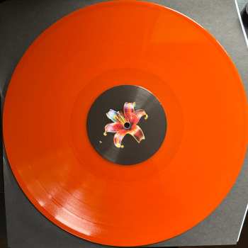 LP Shirley Hurt: Shirley Hurt CLR | LTD