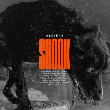 2LP Algiers: Shook