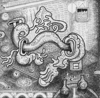 3LP Shpongle: Are You Shpongled?